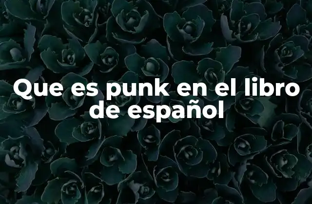 Que es Punk en el Libro de Español