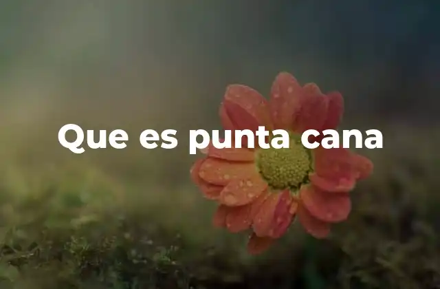 Que es Punta Cana 2 La evolución de un destino turístico