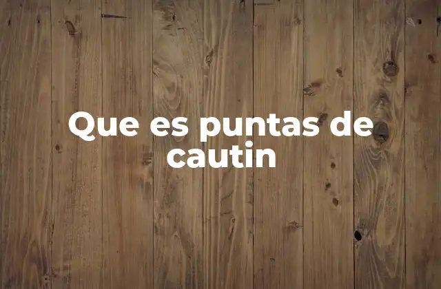 Que es Puntas de Cautin