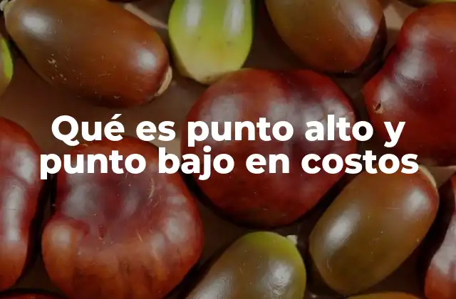 Qué es Punto Alto y Punto bajo en Costos