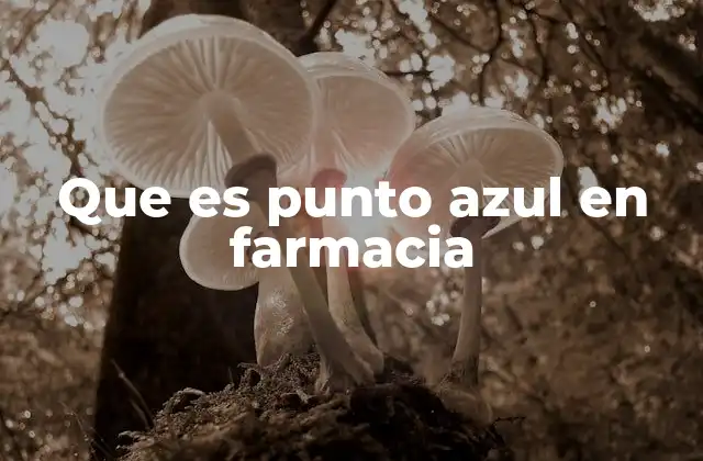 Que es Punto Azul en Farmacia