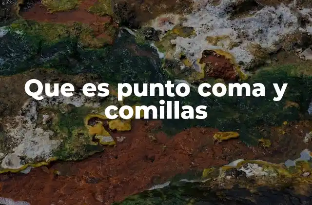 Que es Punto Coma y Comillas