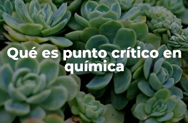 Qué es Punto Crítico en Química