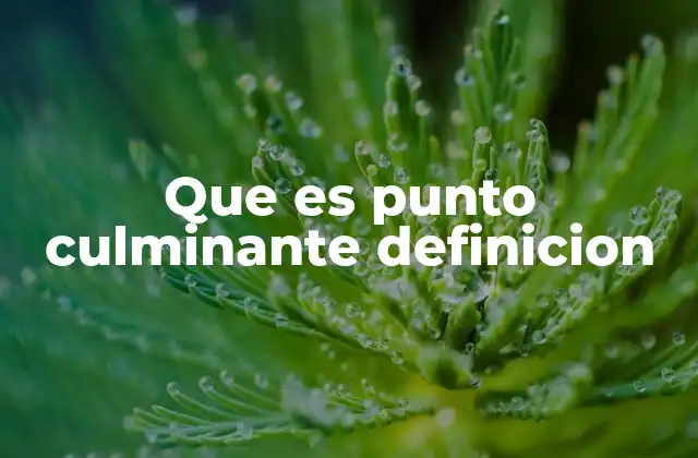 Que es Punto Culminante Definicion