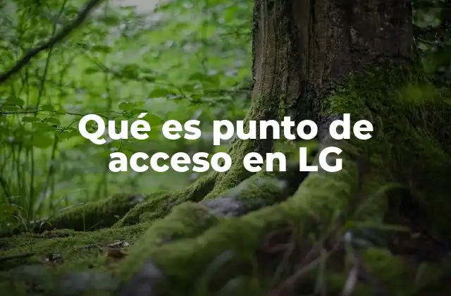 Qué es Punto de Acceso en Lg