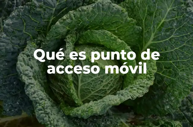 Qué es Punto de Acceso Móvil