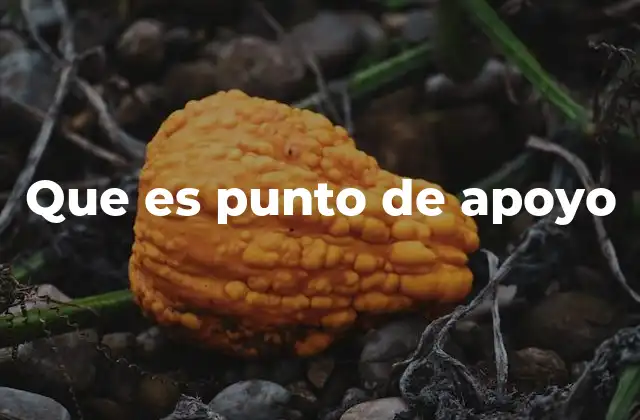 Que es Punto de Apoyo