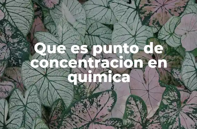 Que es Punto de Concentracion en Quimica