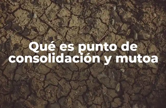 Qué es Punto de Consolidación y Mutoa