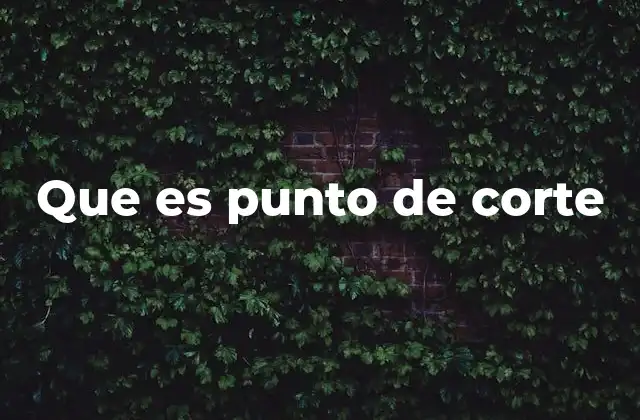 Que es Punto de Corte