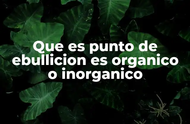 Que es Punto de Ebullicion es Organico o Inorganico