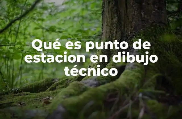 Qué es Punto de Estacion en Dibujo Técnico