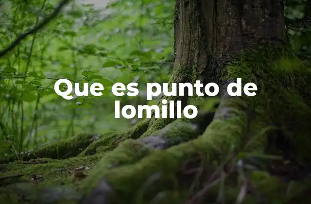 Que es Punto de Lomillo