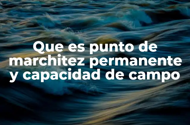 Que es Punto de Marchitez Permanente y Capacidad de Campo