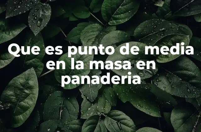 Que es Punto de Media en la Masa en Panaderia