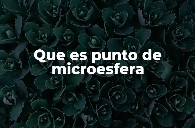 Que es Punto de Microesfera