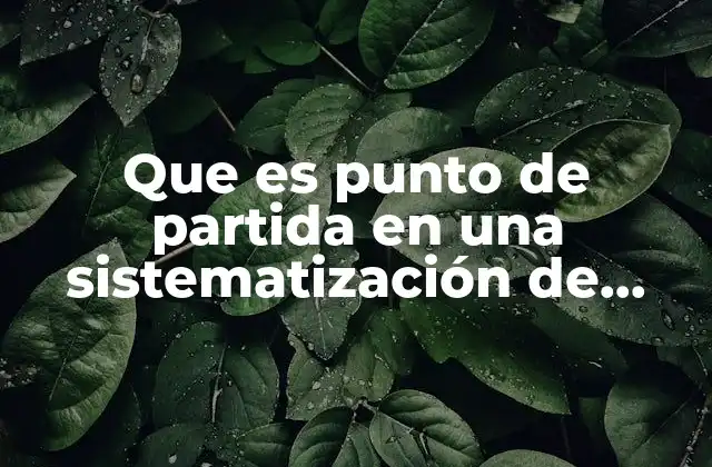 Que es Punto de Partida en una Sistematización de Experiencia