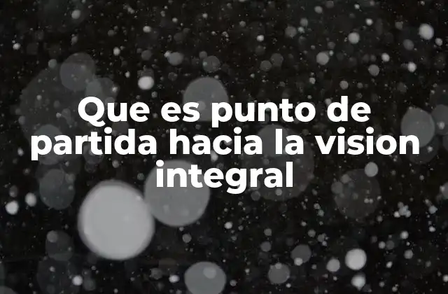 Que es Punto de Partida hacia la Vision Integral