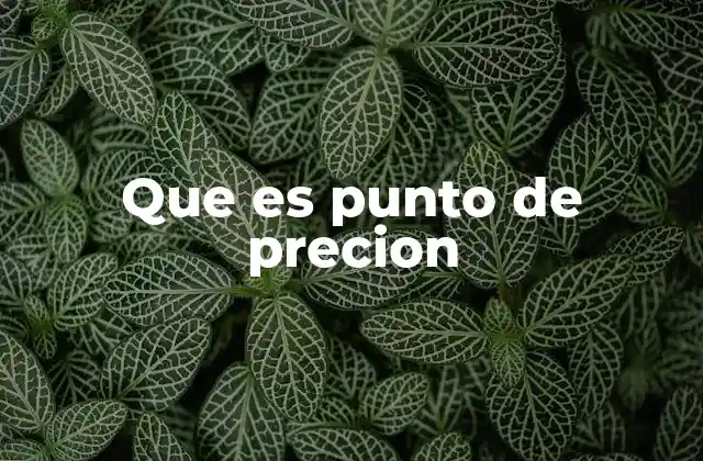 Que es Punto de Precion