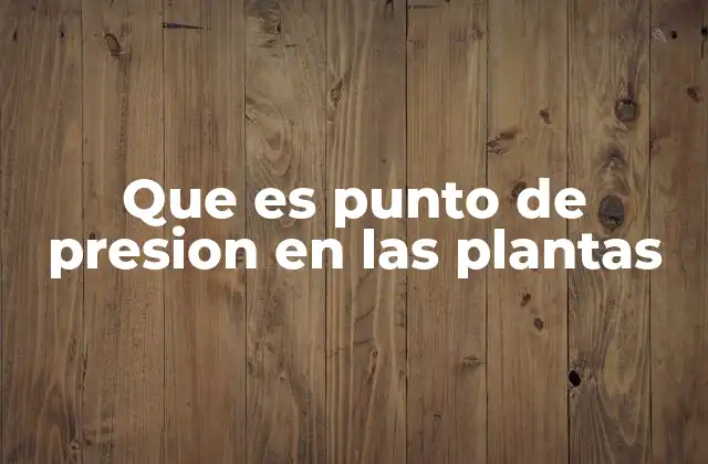 Que es Punto de Presion en las Plantas