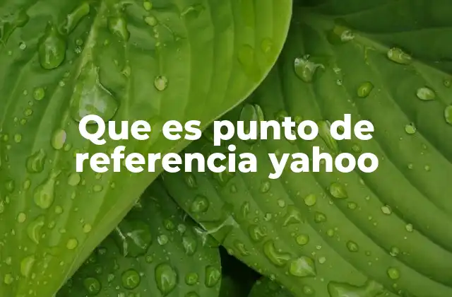 Que es Punto de Referencia Yahoo