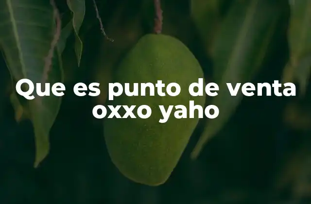 Que es Punto de Venta Oxxo Yaho