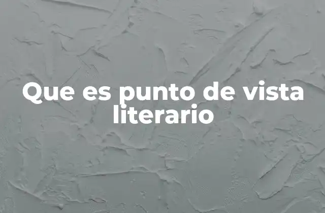 Que es Punto de Vista Literario