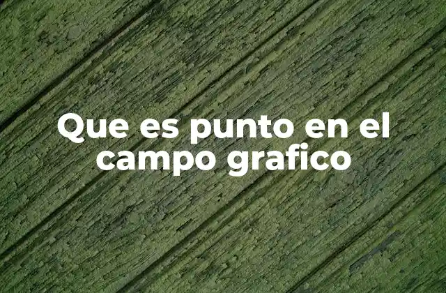 Que es Punto en el Campo Grafico