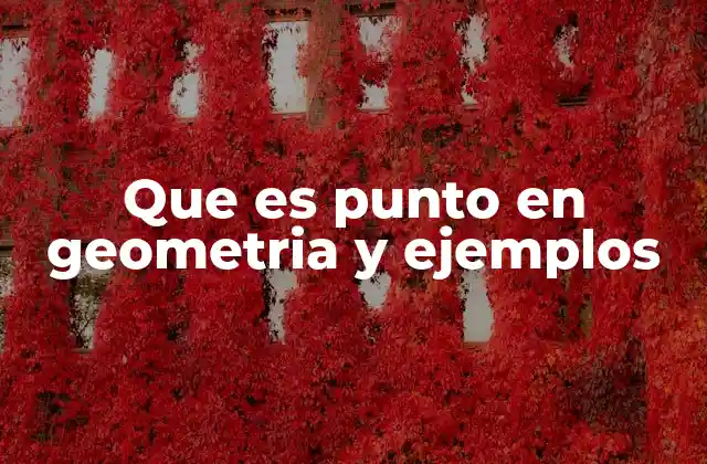 Que es Punto en Geometria y Ejemplos
