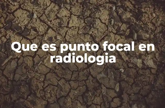 El rol del punto focal en la interpretación de imágenes médicas