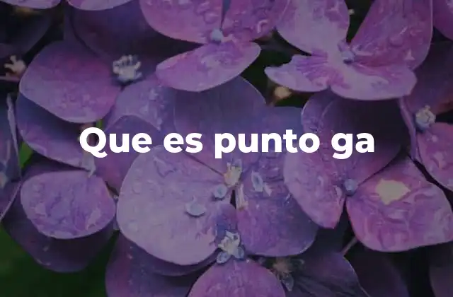 Que es Punto Ga