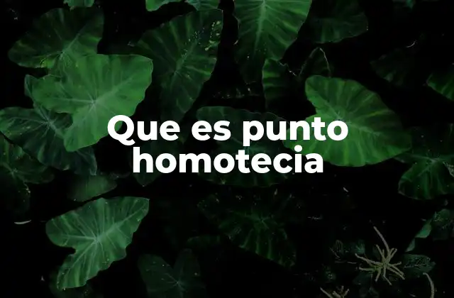 Que es Punto Homotecia