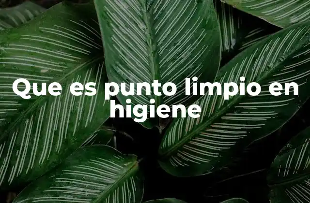 Que es Punto Limpio en Higiene