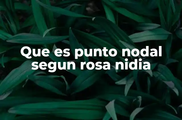 Que es Punto Nodal Segun Rosa Nidia