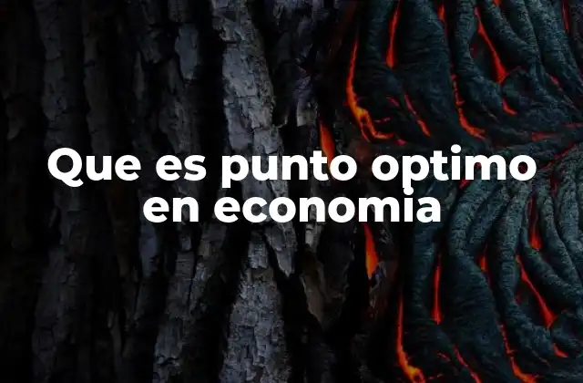 Que es Punto Optimo en Economia