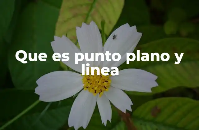 Que es Punto Plano y Linea