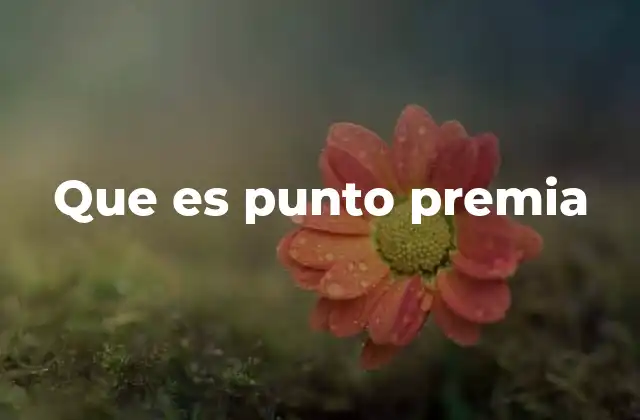 Que es Punto Premia