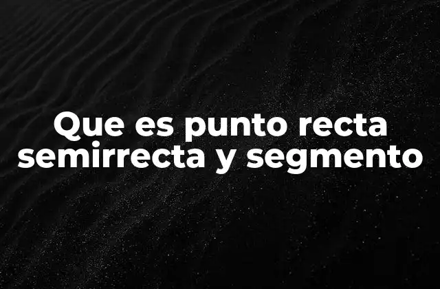 Que es Punto Recta Semirrecta y Segmento