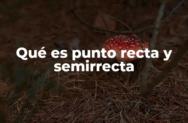 Qué es Punto Recta y Semirrecta