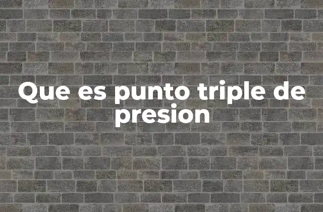 Que es Punto Triple de Presion 2 El punto triple en la termodinámica