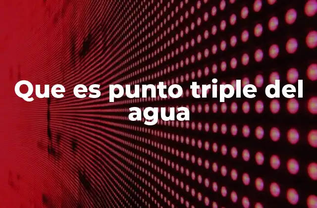 Que es Punto Triple Del Agua
