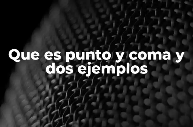 El punto y coma como herramienta para organizar ideas
