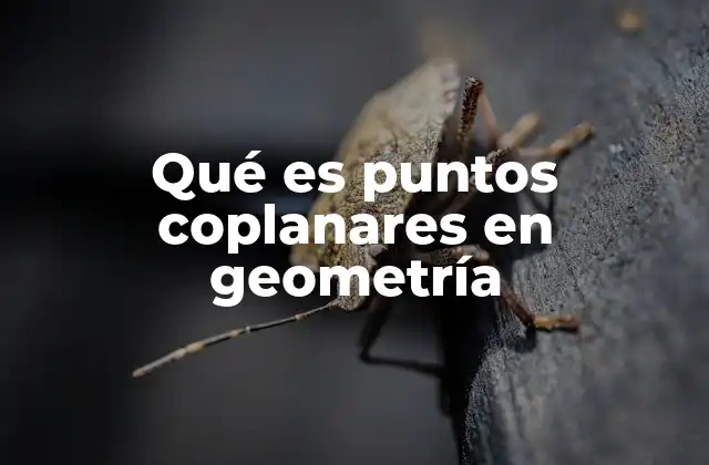 Qué es Puntos Coplanares en Geometría