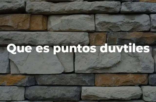 Que es Puntos Duvtiles