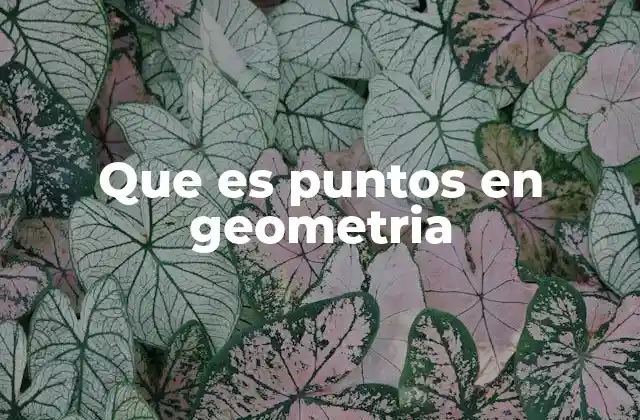 El punto como base para la construcción geométrica