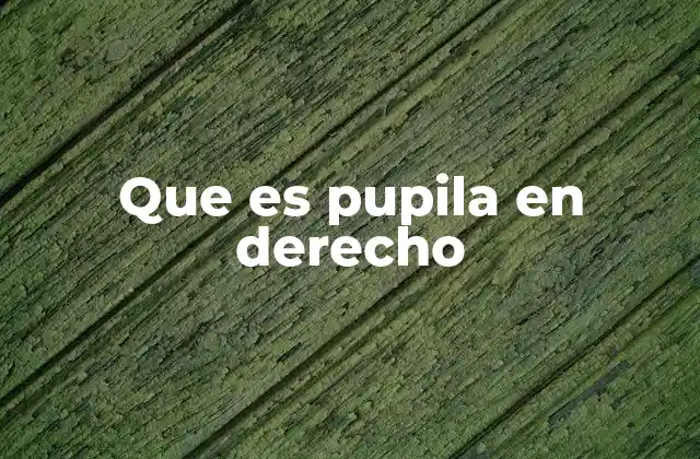 Que es Pupila en Derecho