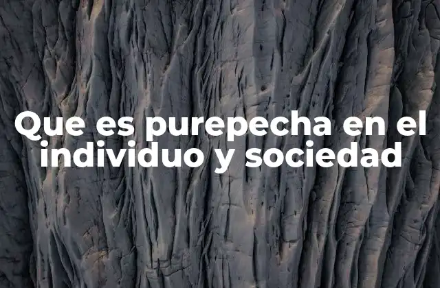 Que es Purepecha en el Individuo y Sociedad