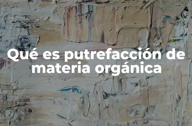 Qué es Putrefacción de Materia Orgánica 2 El papel de los microorganismos en la descomposición