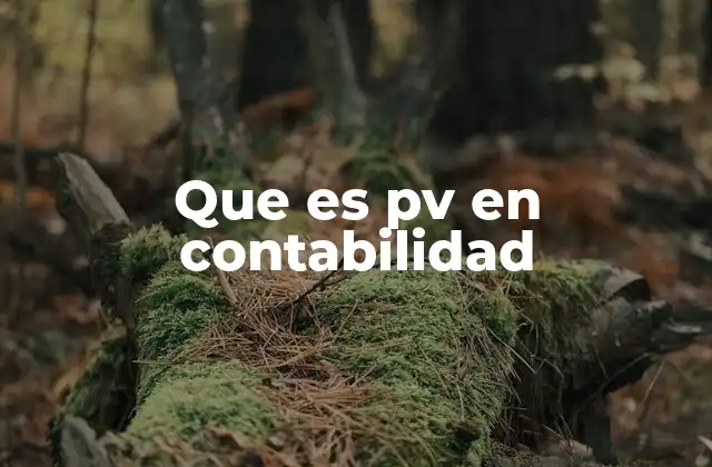 Que es Pv en Contabilidad