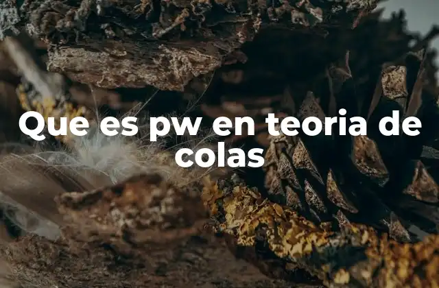 Que es Pw en Teoria de Colas